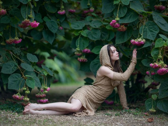 游戏直播-峡谷风云